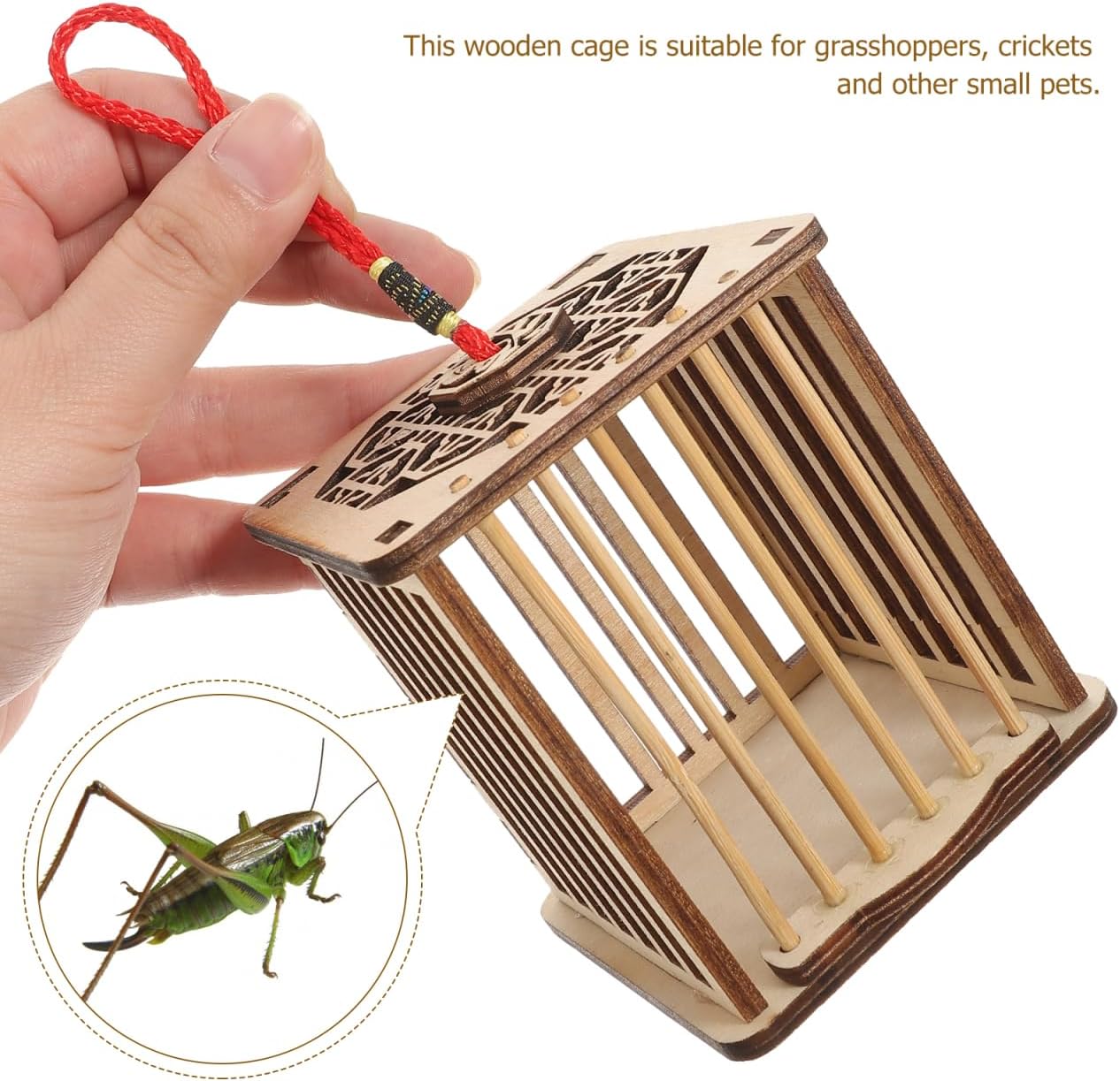 Wooden Cricket Habitat – A Natural Home for Small Insects